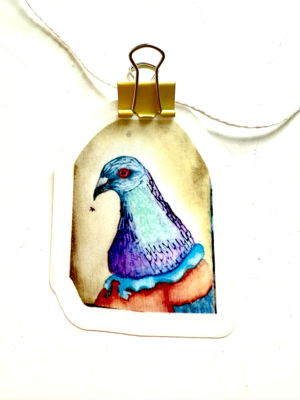 Whimsical Animals Portraits