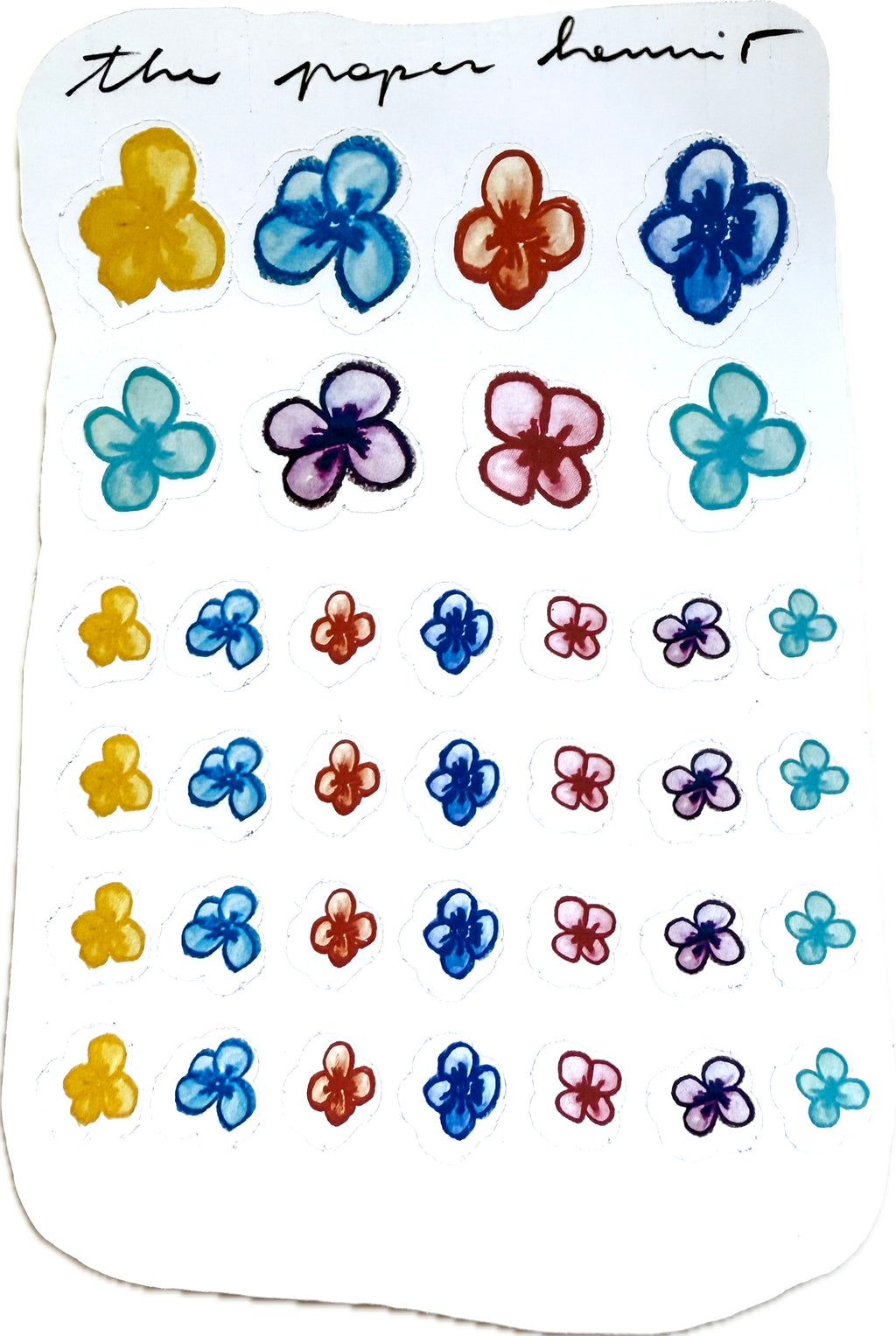 Crayon colorful flowers - from pastels doodles