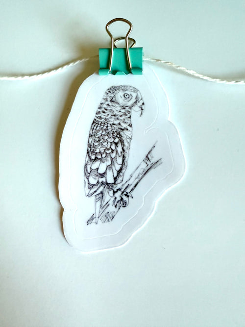 black and white parrot - from ink sketch