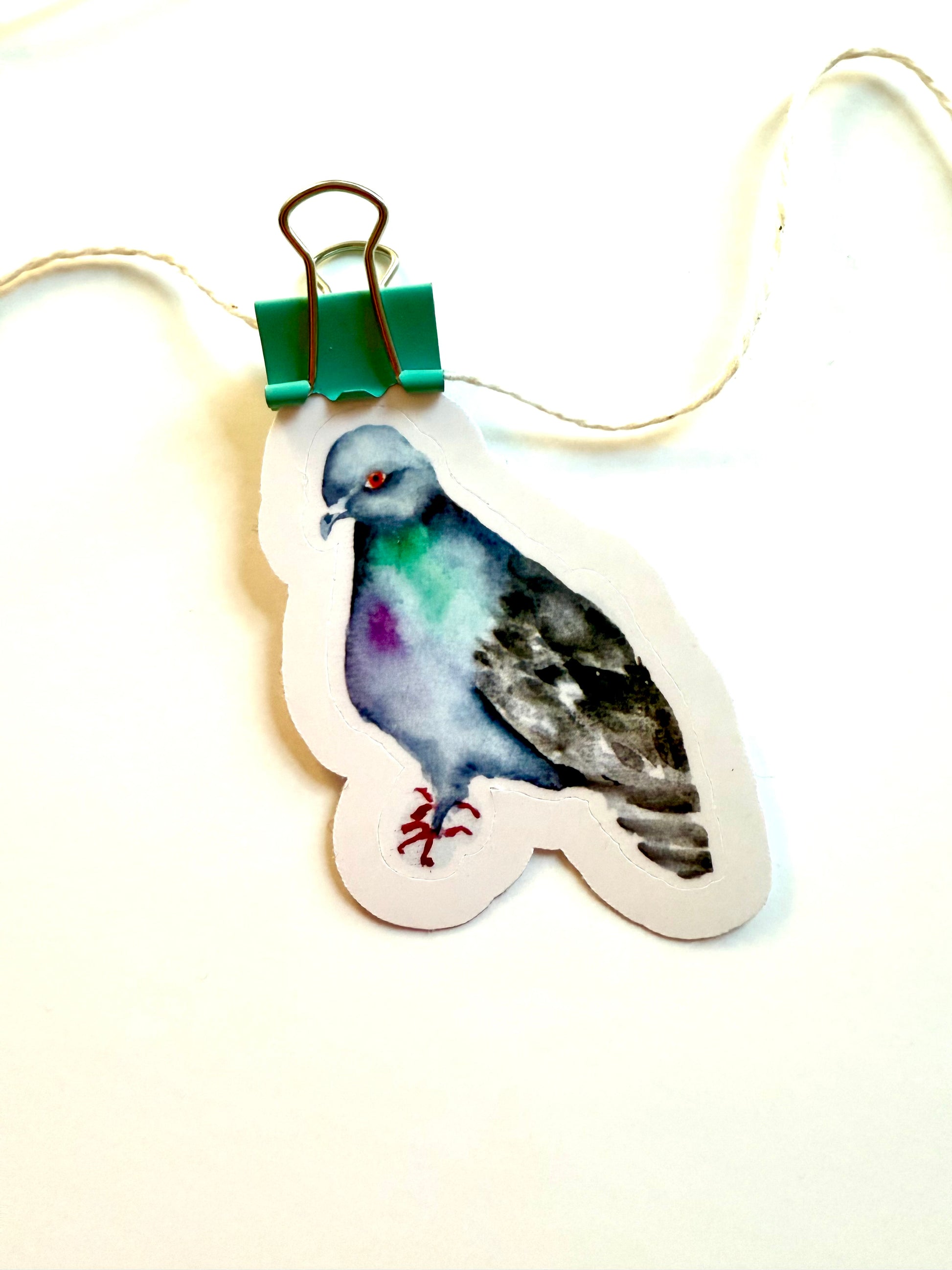 pigeon - from watercolor sketch