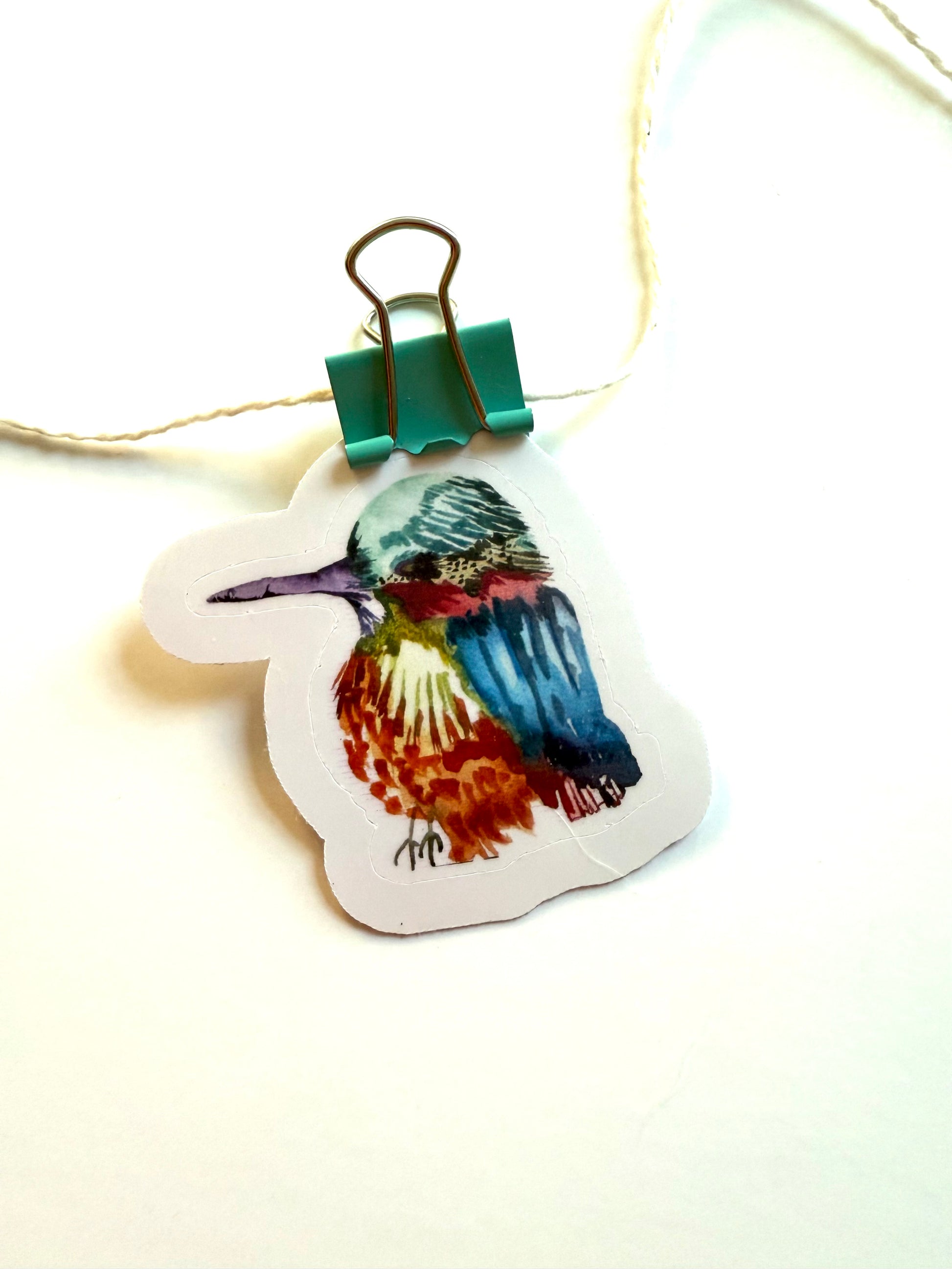 Chubby rainbow bird - from watercolor sketch