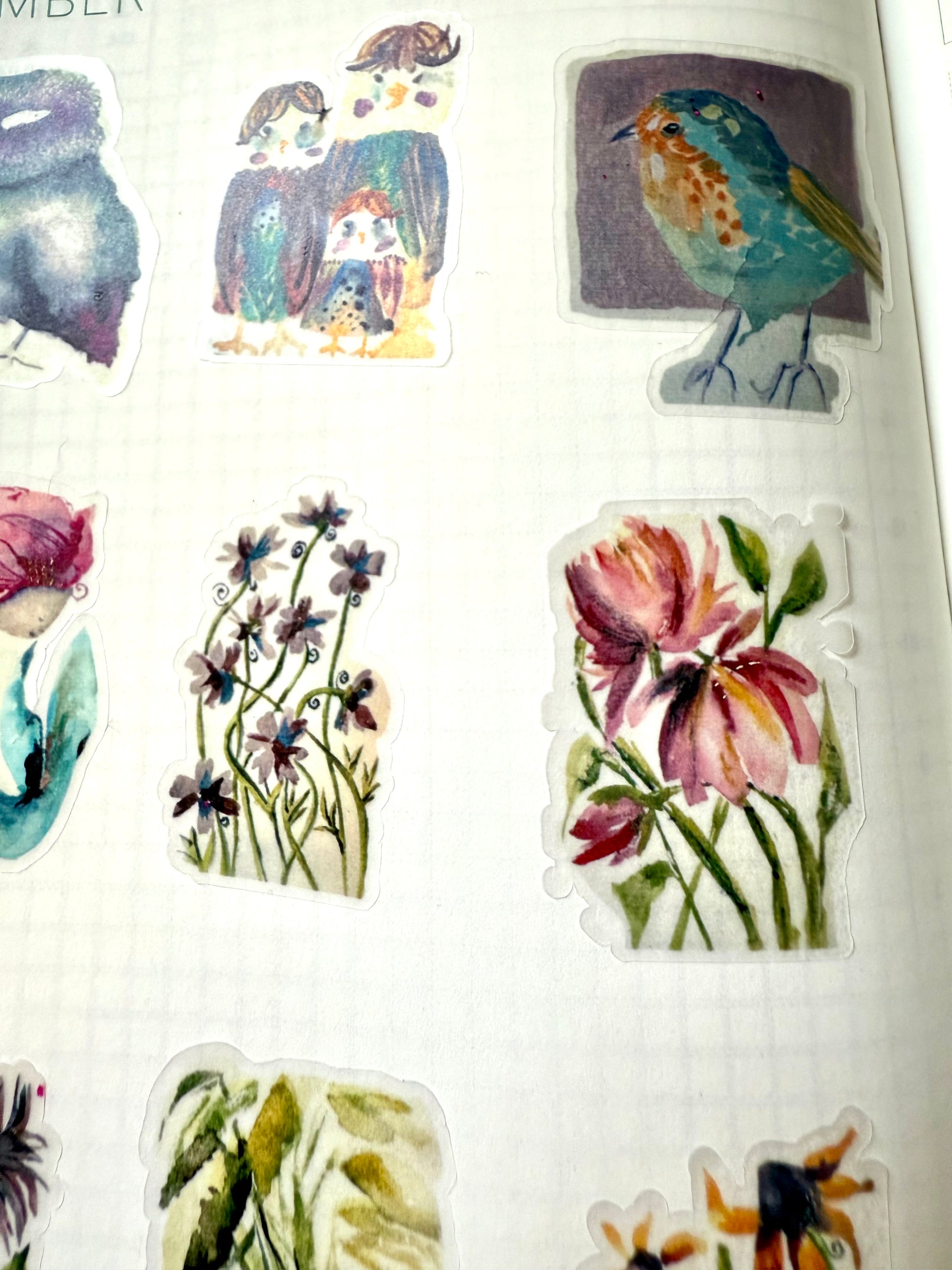 little owls - from gouache sketch