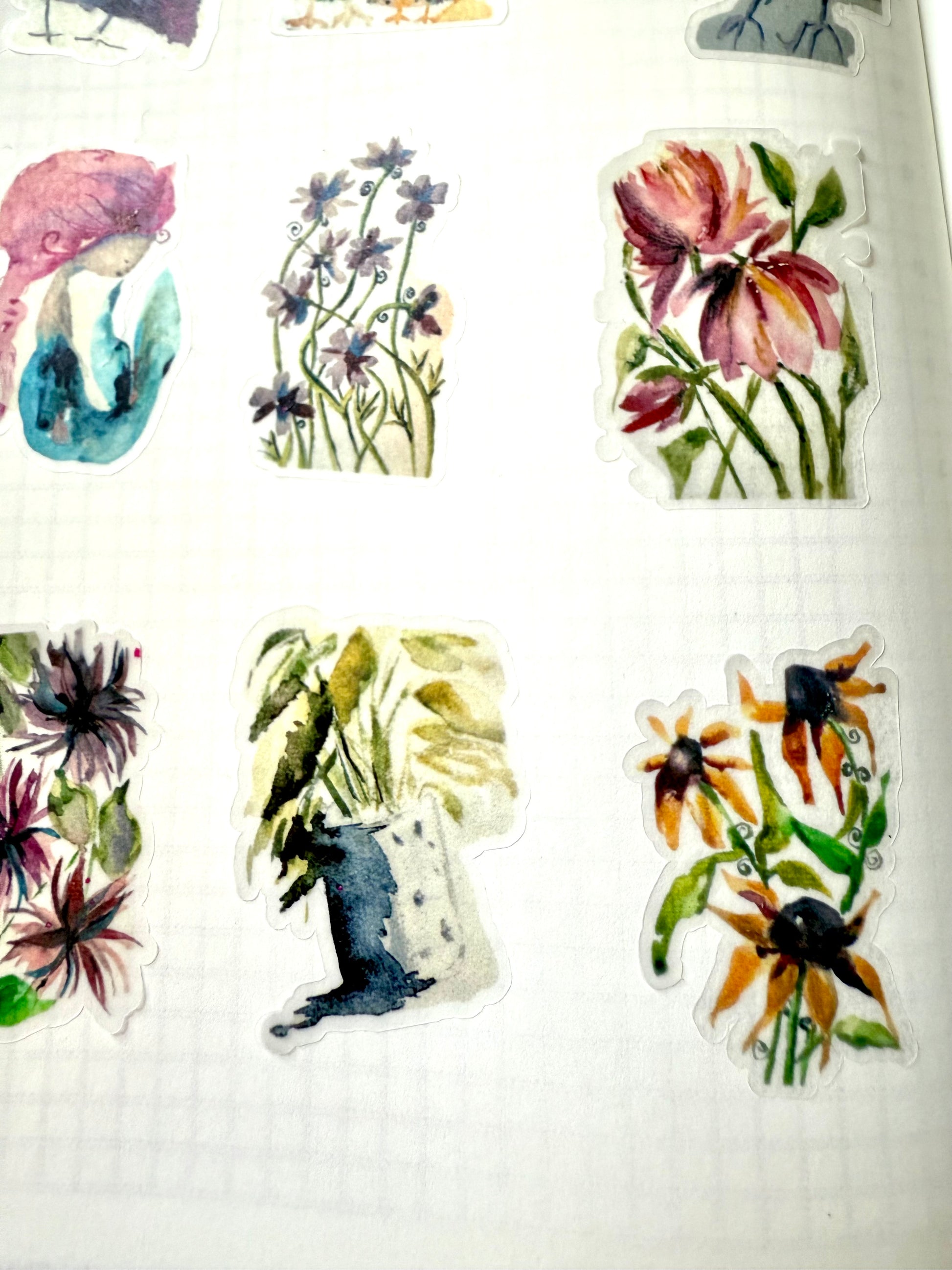 pink flowers - from watercolor sketch