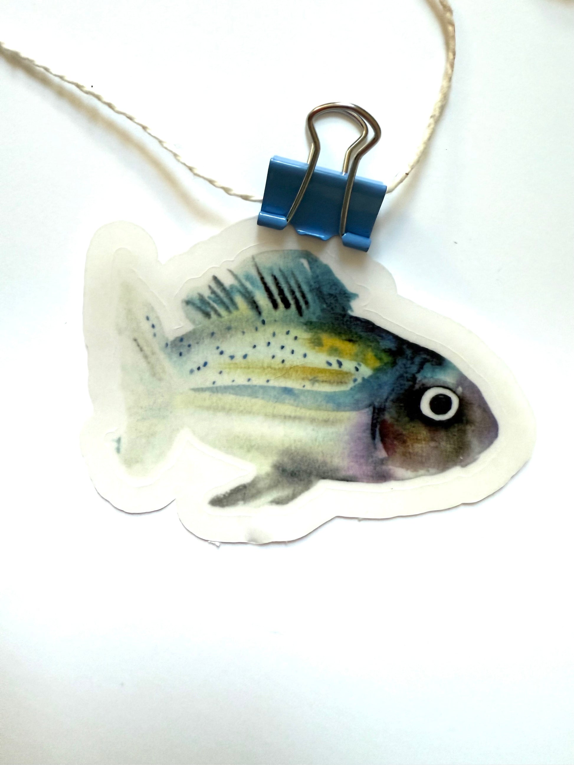 teal, yellow, purple fish - from watercolor sketch