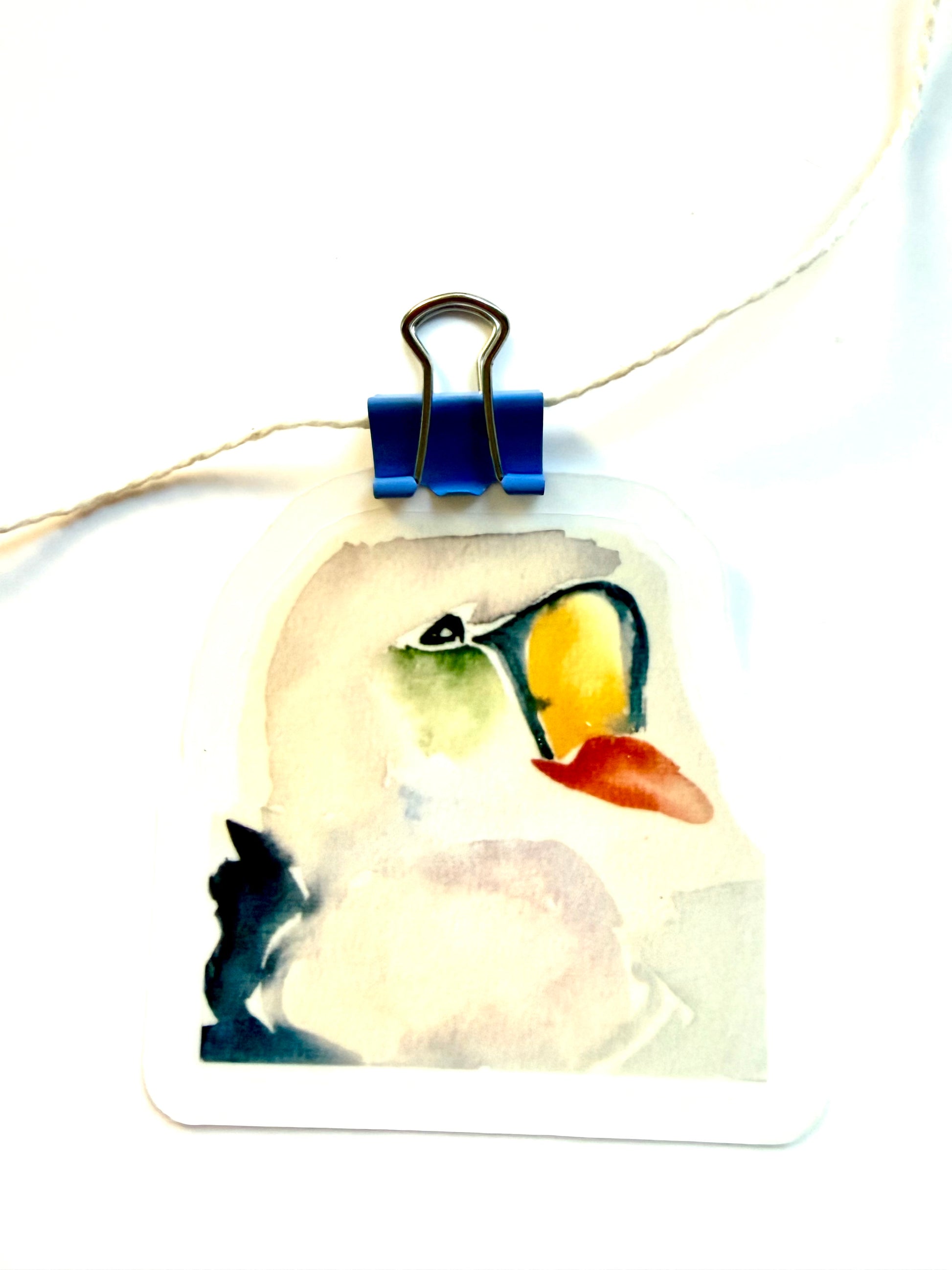 Duck! from watercolor sketch