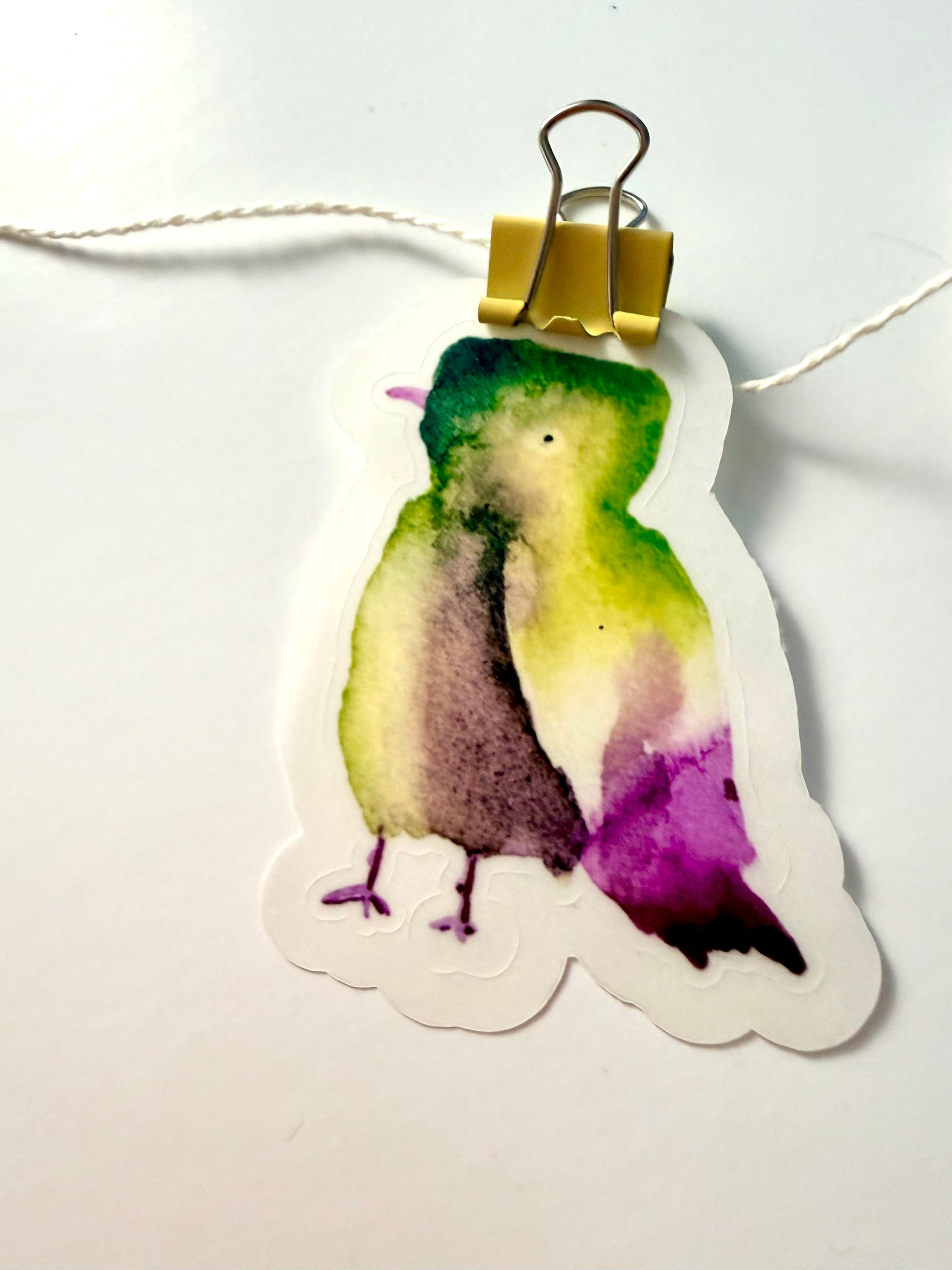green and magenta bird from watercolor sketch - pack of 6