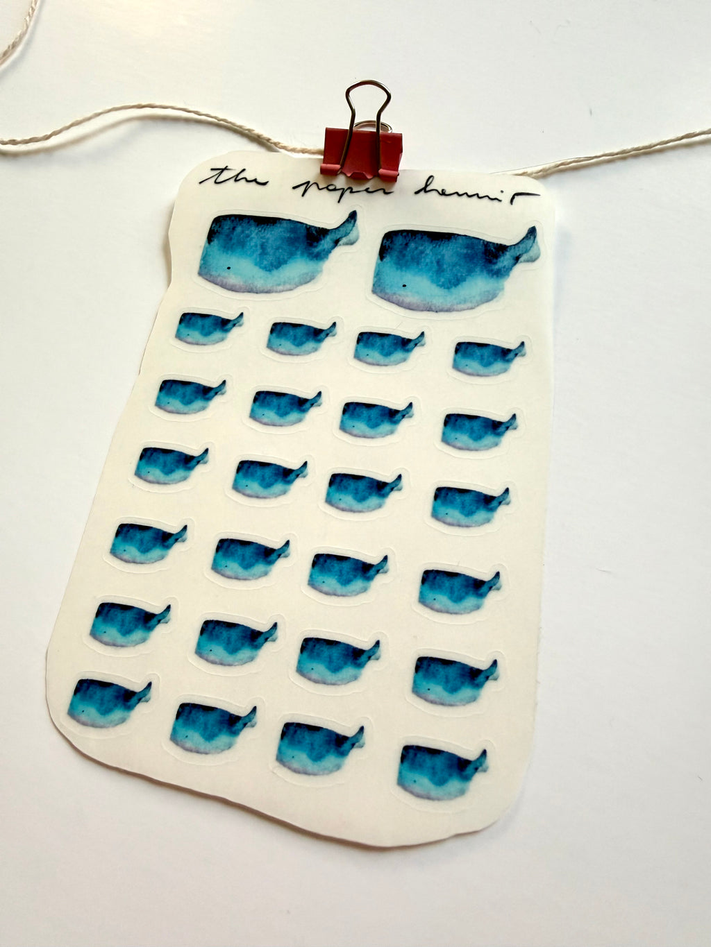 lil whales sticker sheet - from watercolor sketch