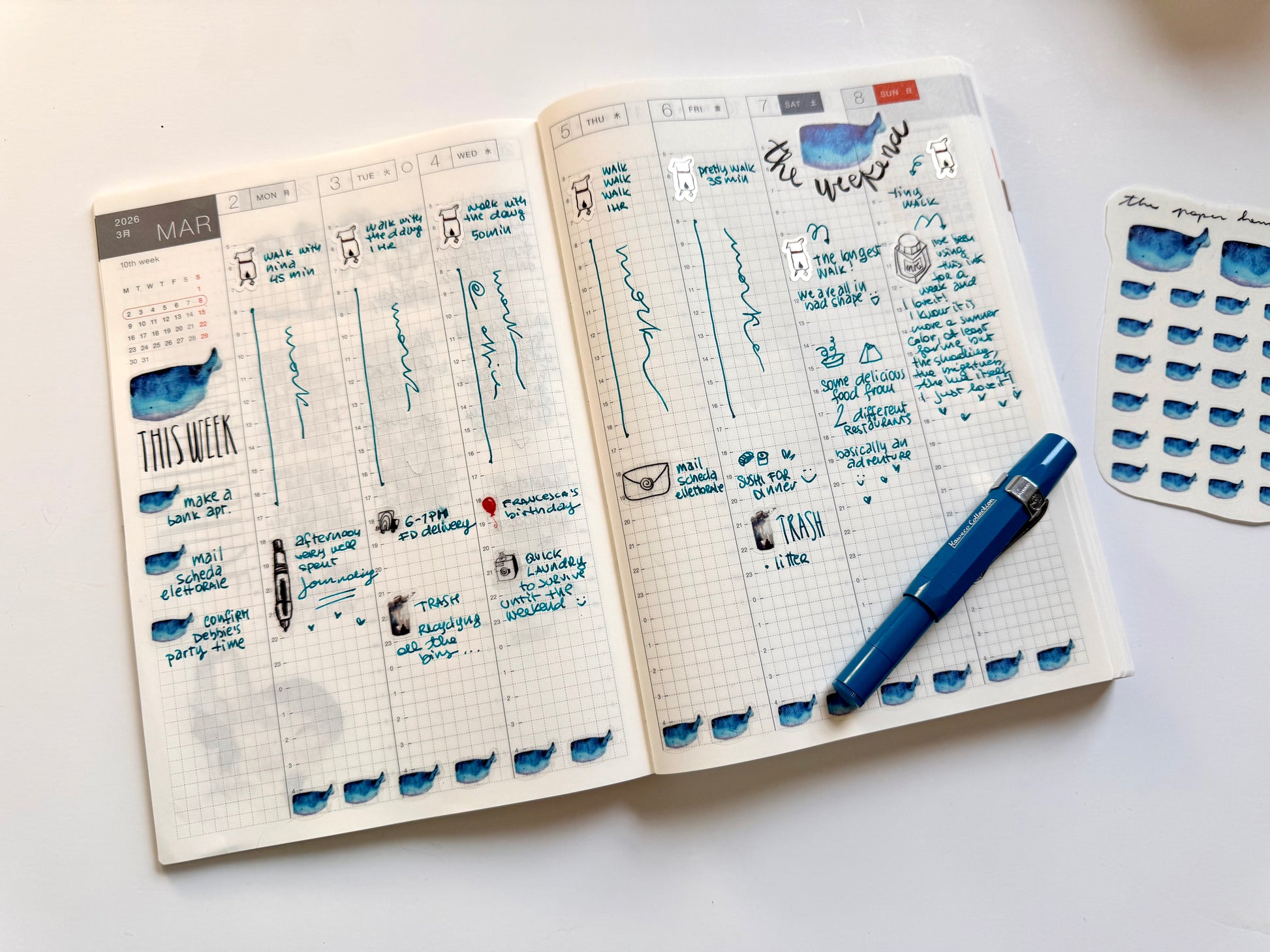 lil whales sticker sheet - from watercolor sketch