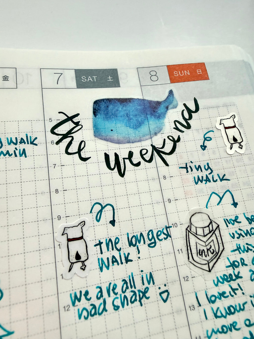 lil whales sticker sheet - from watercolor sketch