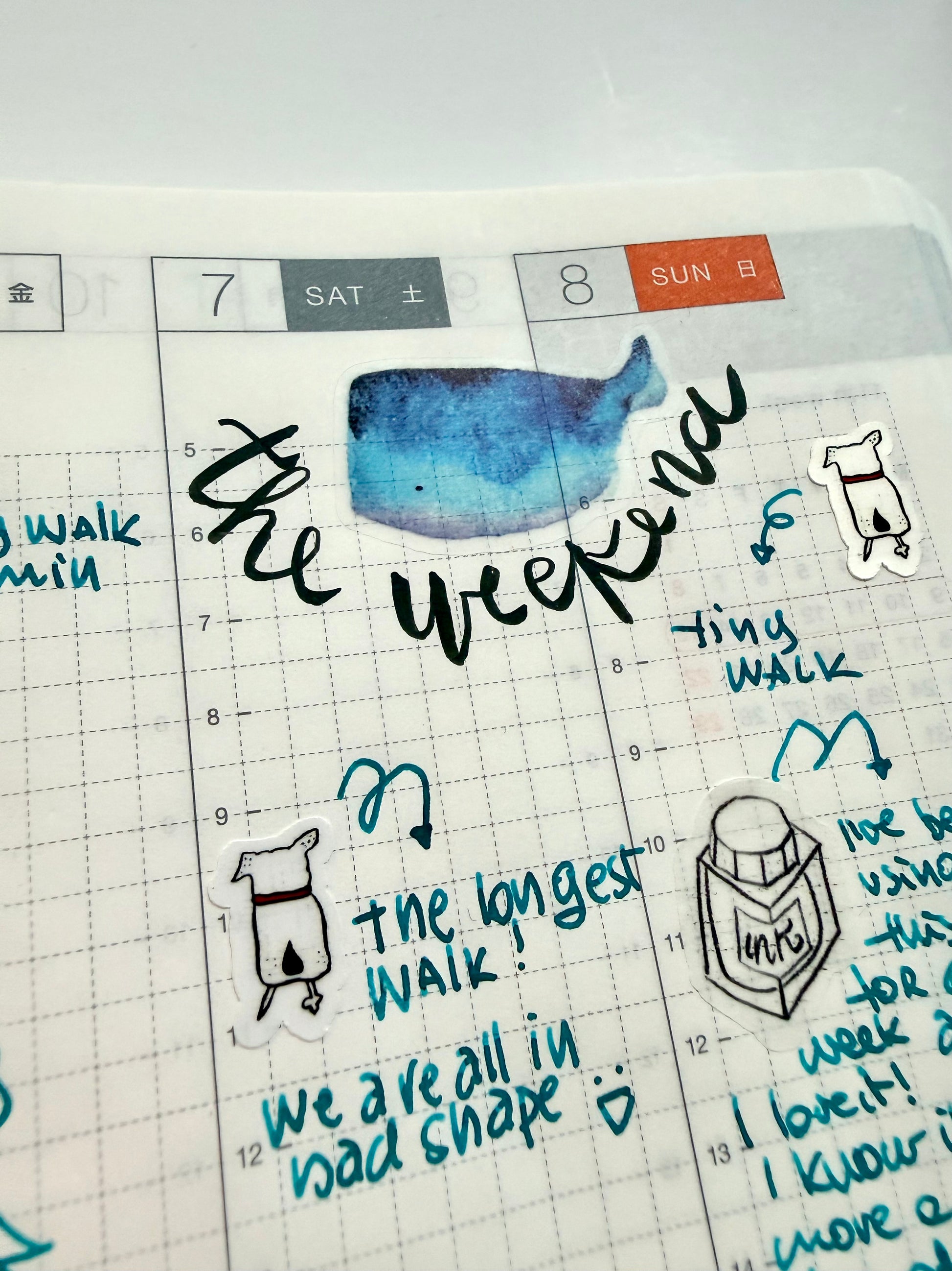 lil whales sticker sheet - from watercolor sketch