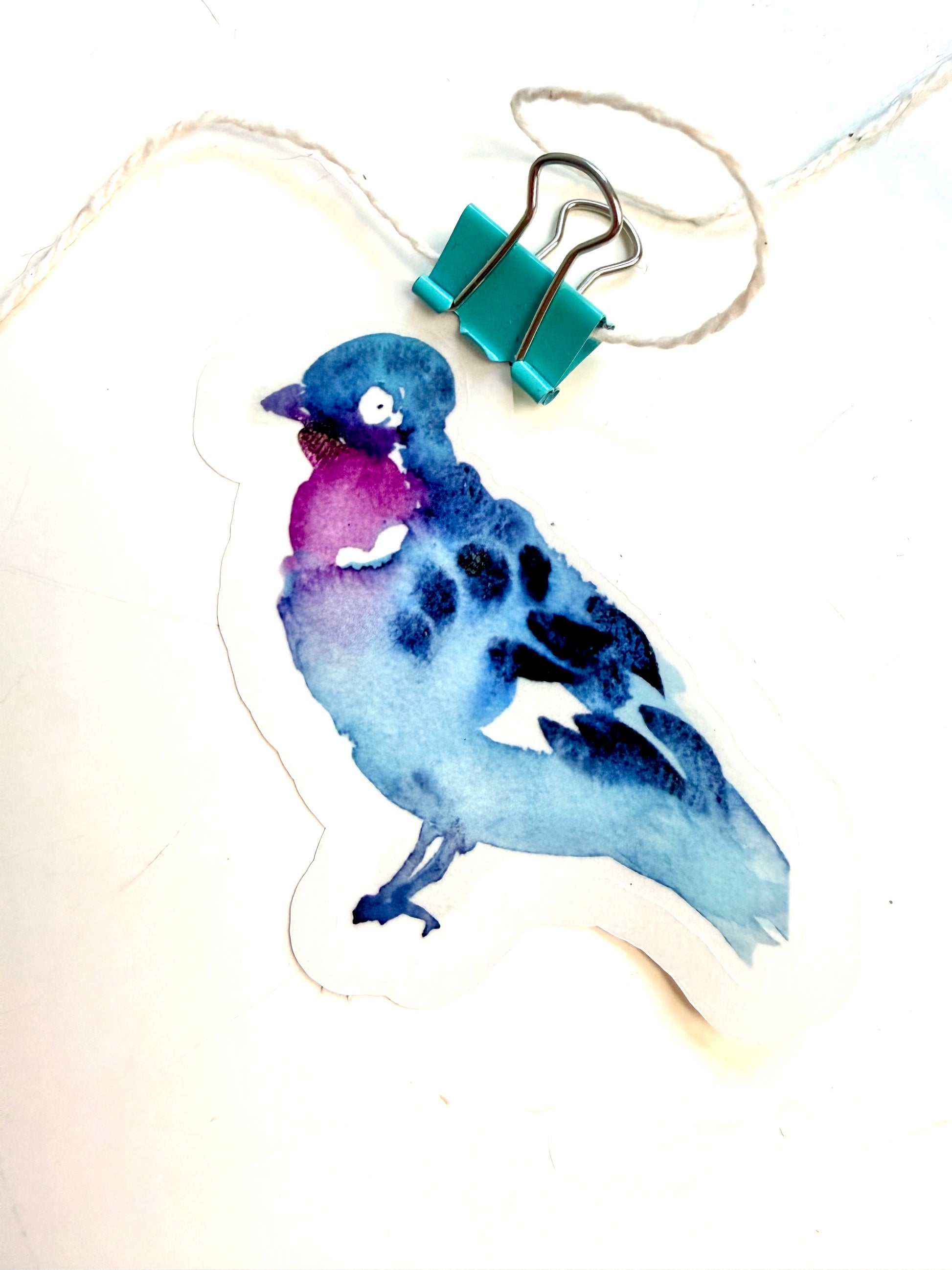 blue and magenta bird - from watercolor sketch