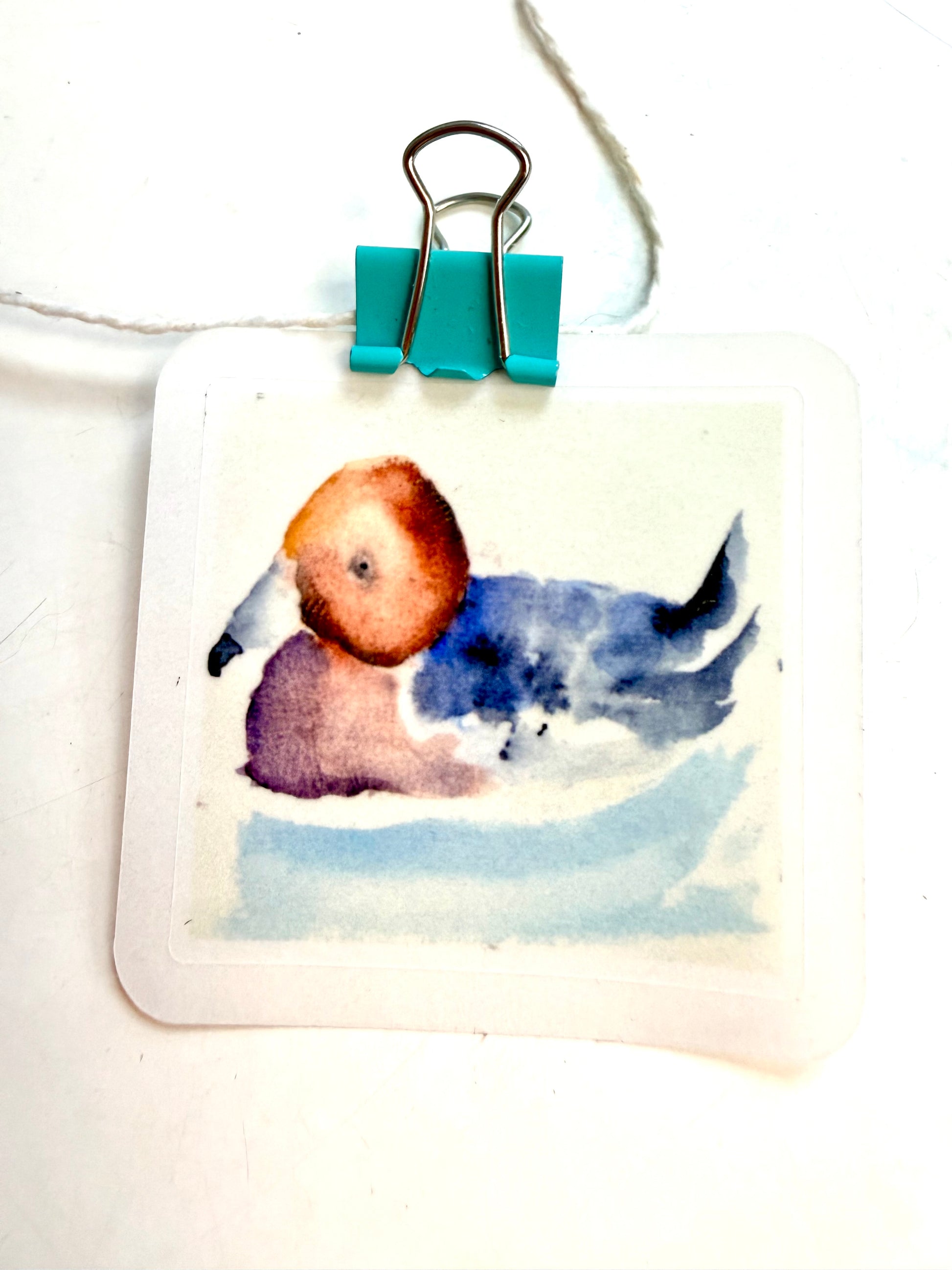 just a duck - from watercolor sketch