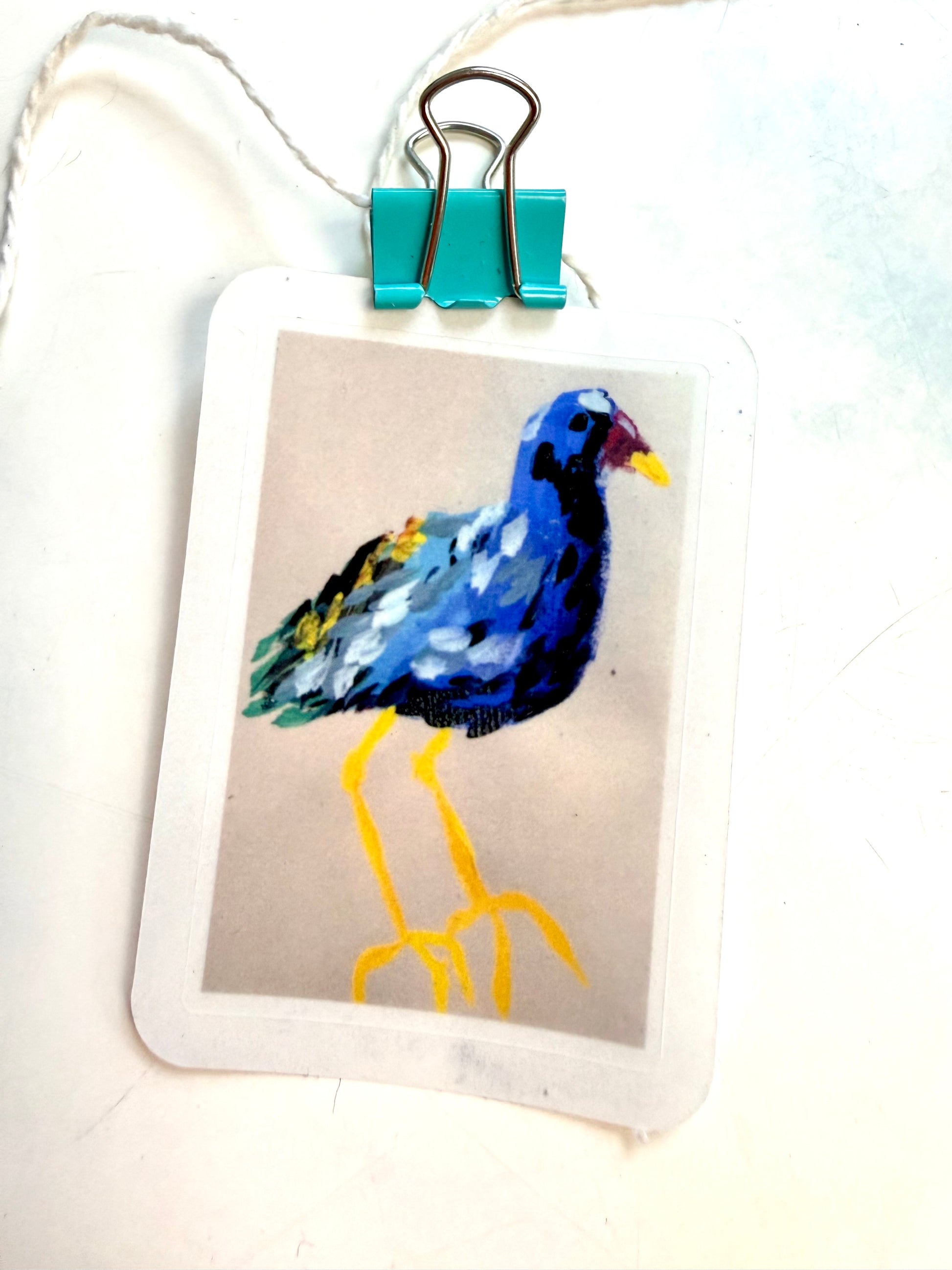colorful bird - from gouache sketch