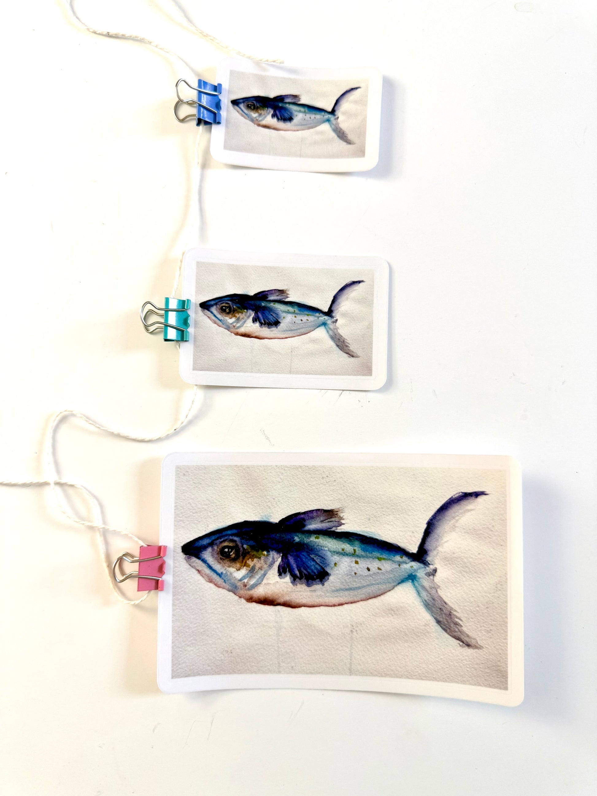 just a fish - from a watercolor sketch