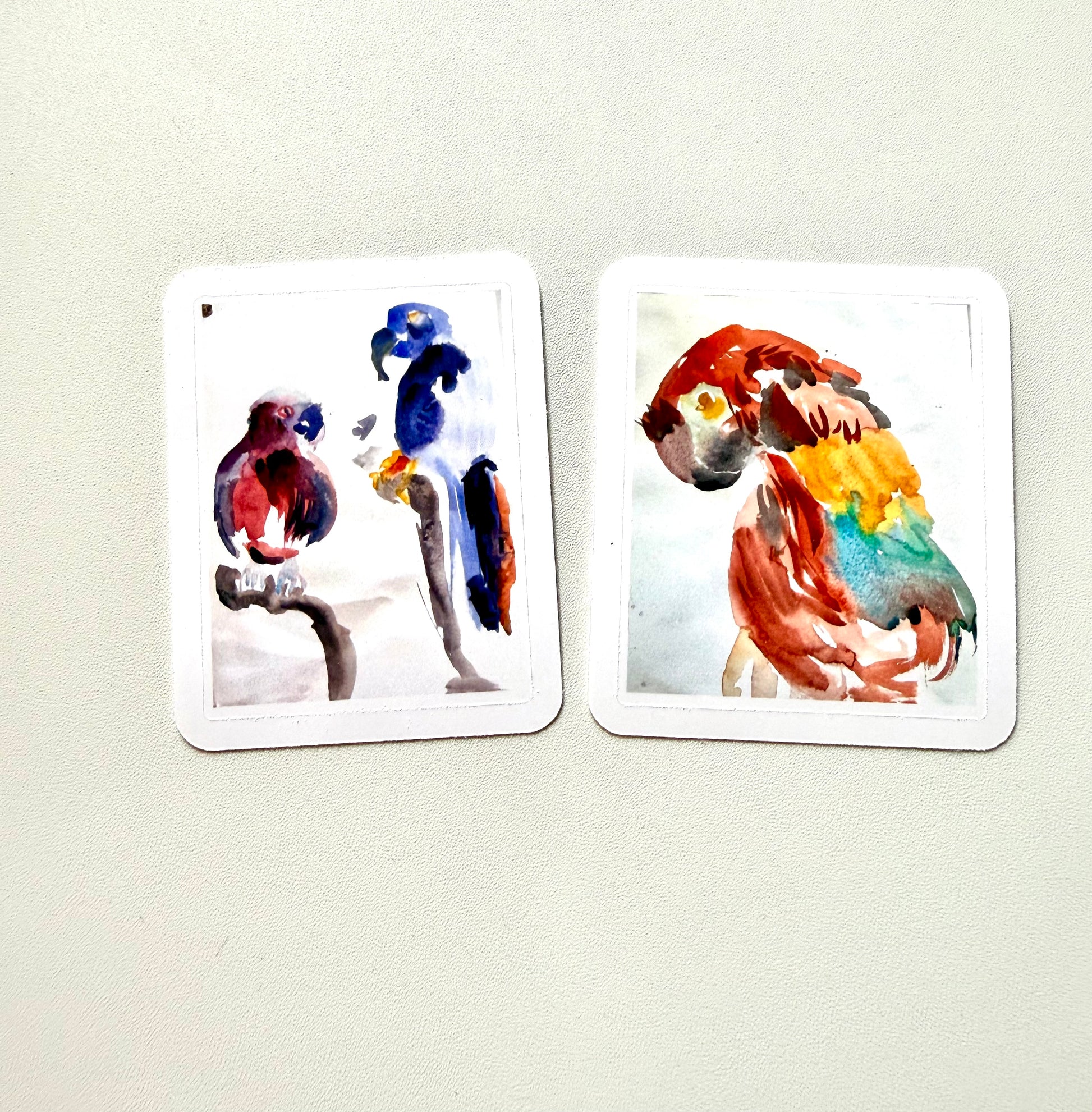 parrot sticker - from watercolor sketches - pack of 2