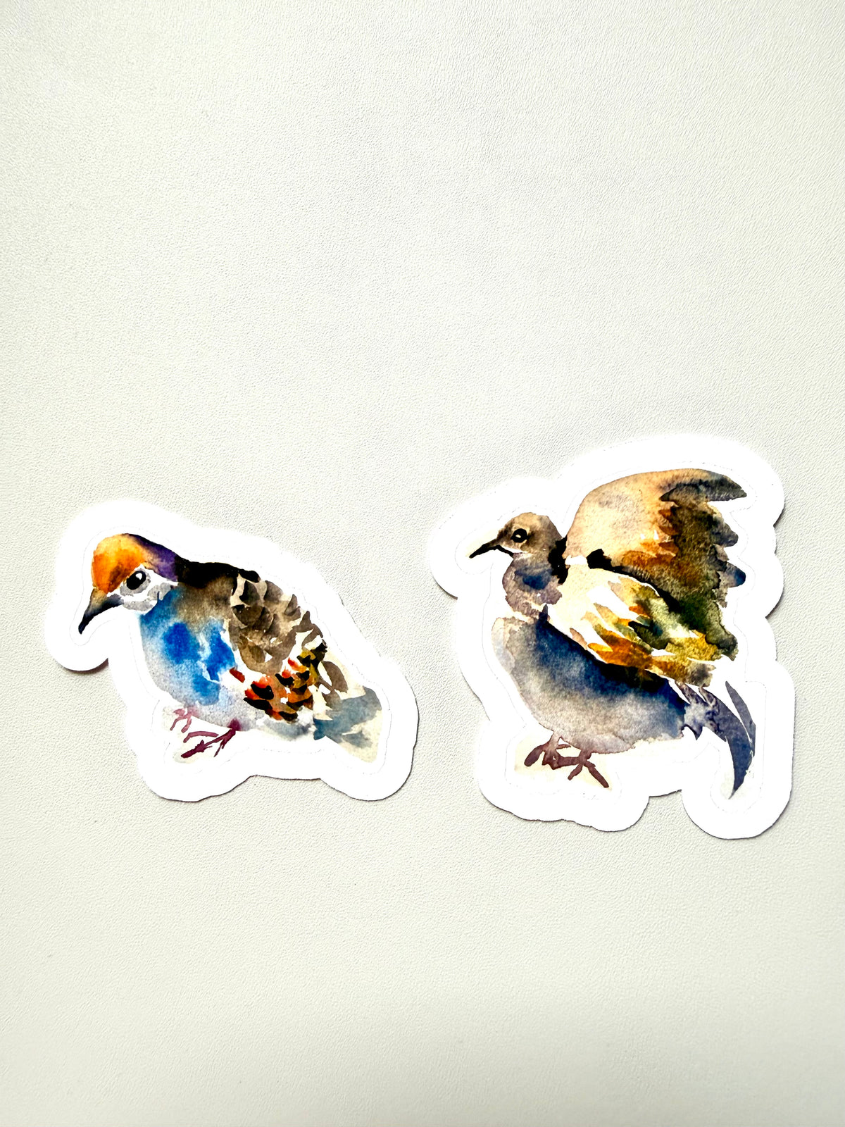 pigeon sticker - from watercolor sketched - pack of 2