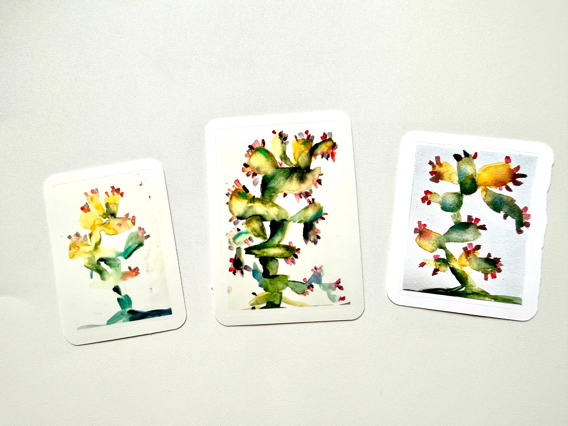 Cactus sticker - from cactus practice with watercolor - pack of 3